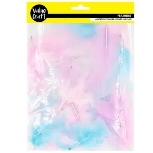Feathers Pink Blue Lilac