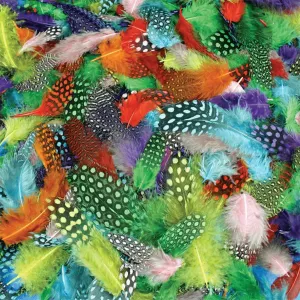 Feathers Spotted 25g Pack